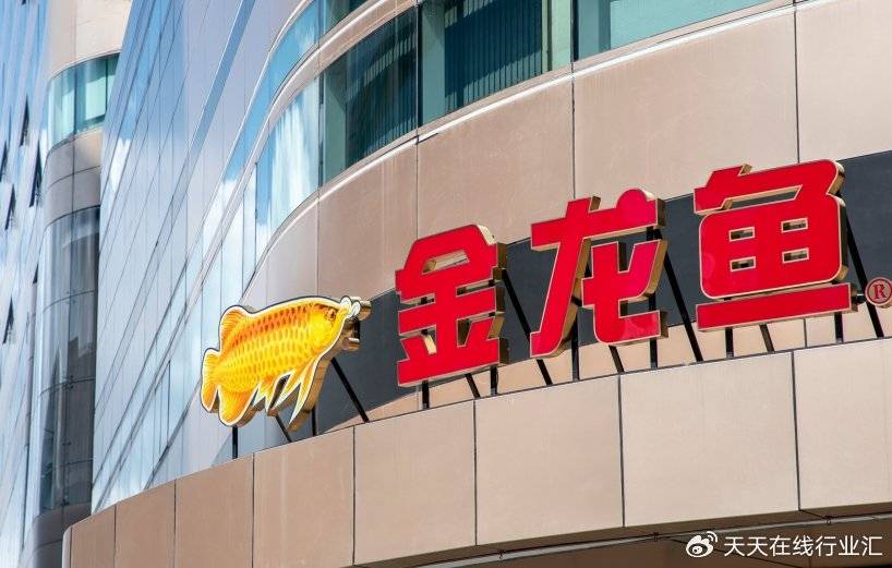 金龙鱼公司最新动态揭秘，发展态势与各方观点透视