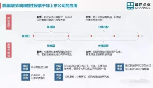 股票与期权差异解析，小巷深处的投资秘籍