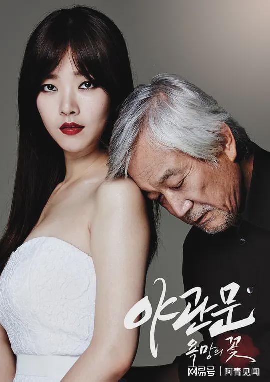 韩国电影夜，大尺度佳作与温馨日常趣事在线观看