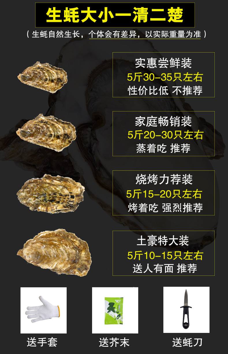 小牡蛎资讯，引领学习变革，开启自信与成就之旅